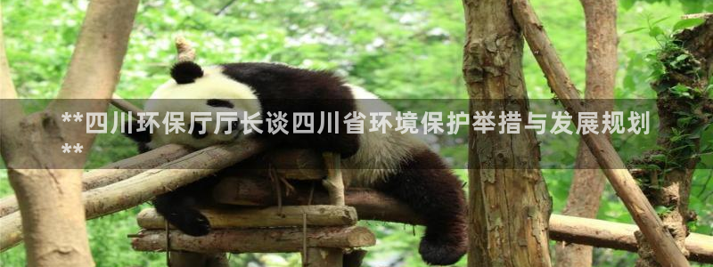 JDB电子维护