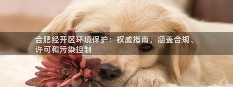 jdb财神捕鱼官网下载