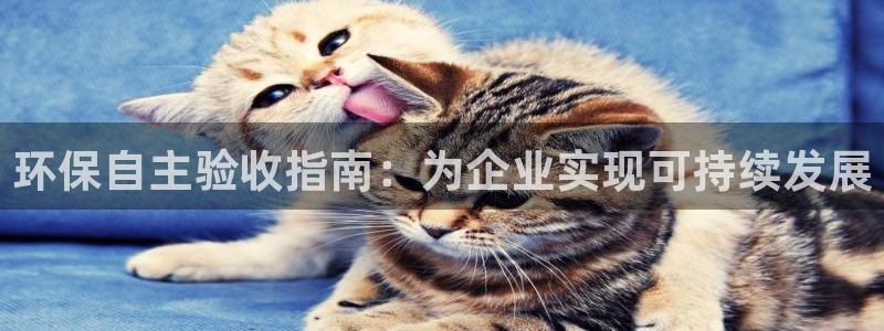 jdb游戏超级大奖视频在线播放